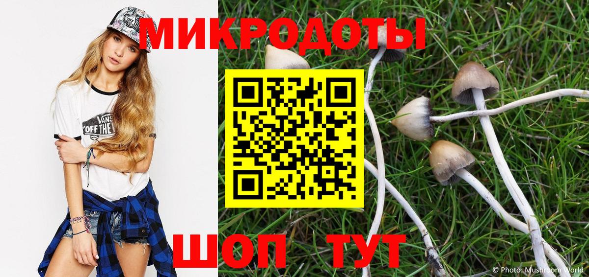 Галлюциногенные грибы Cubensis  Галлюциногенные грибы мицелий  Вход с VPN  Камышин 